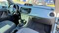 Volkswagen New Beetle 1.4  manuale turbo Blu/Azzurro - thumbnail 12