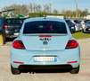 Volkswagen New Beetle 1.4  manuale turbo Blu/Azzurro - thumbnail 5