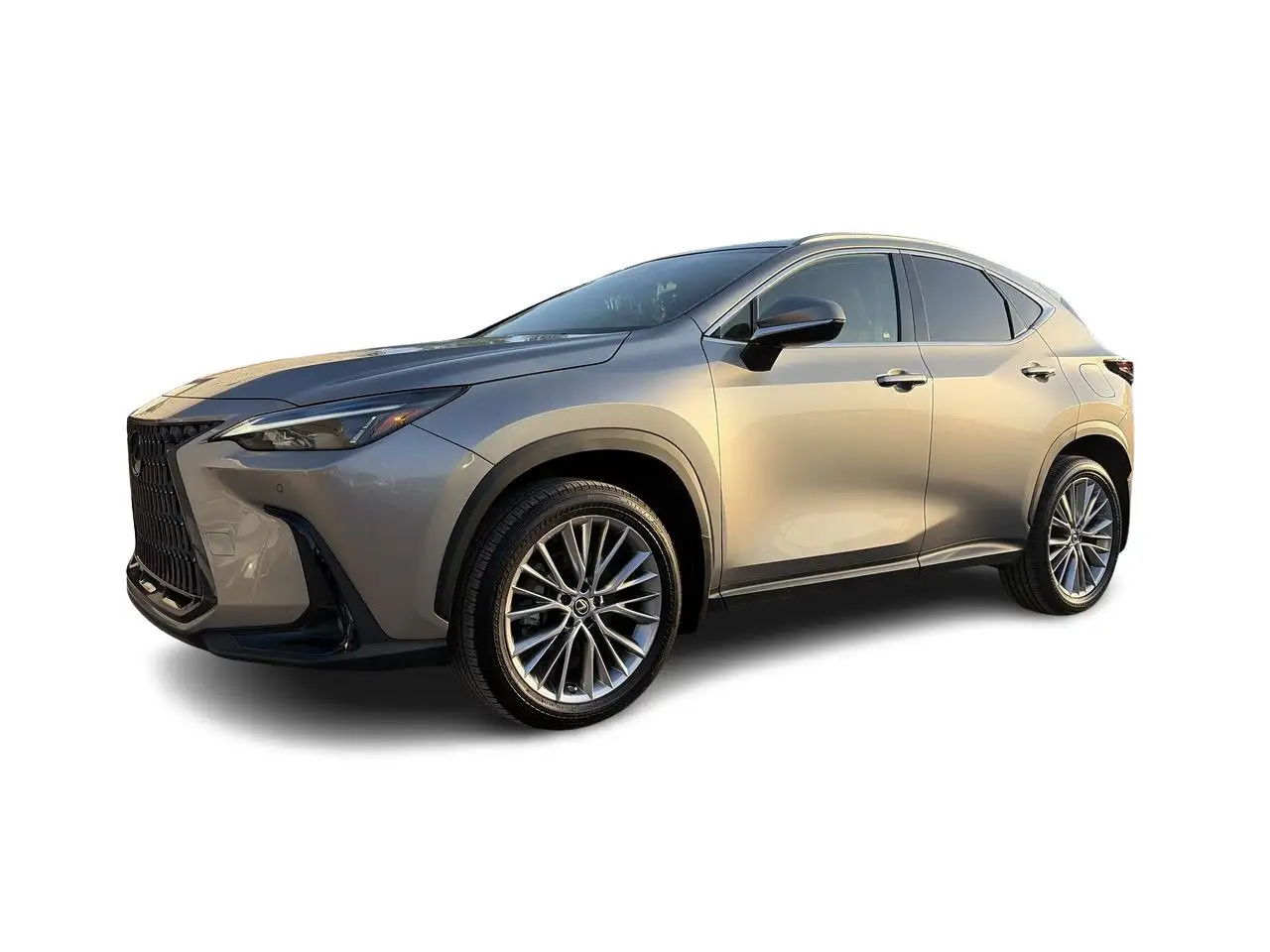 Lexus NX снимка Lexus NX