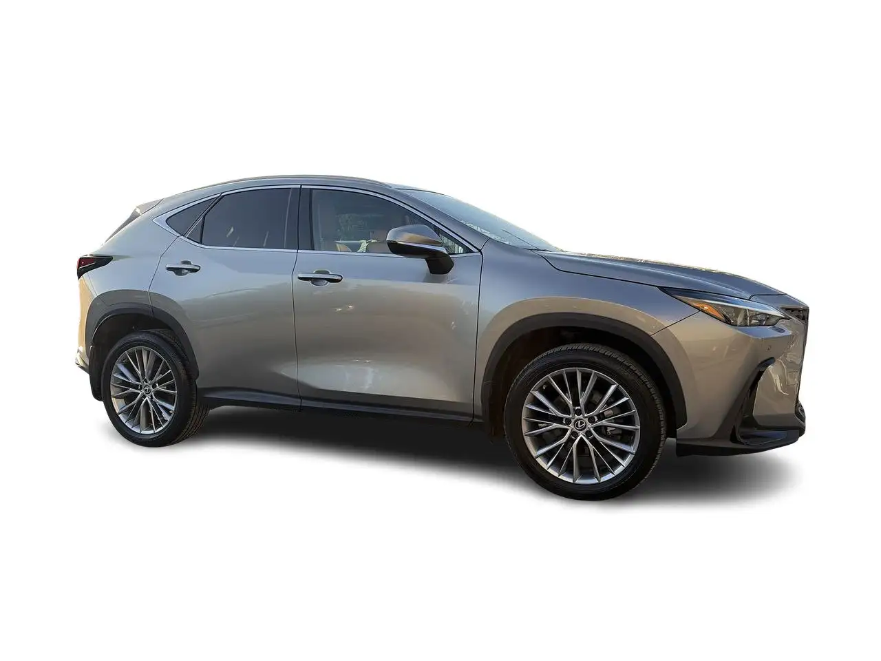 Lexus NX снимка Lexus NX