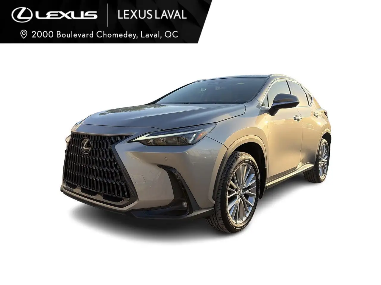 2023 Lexus NX