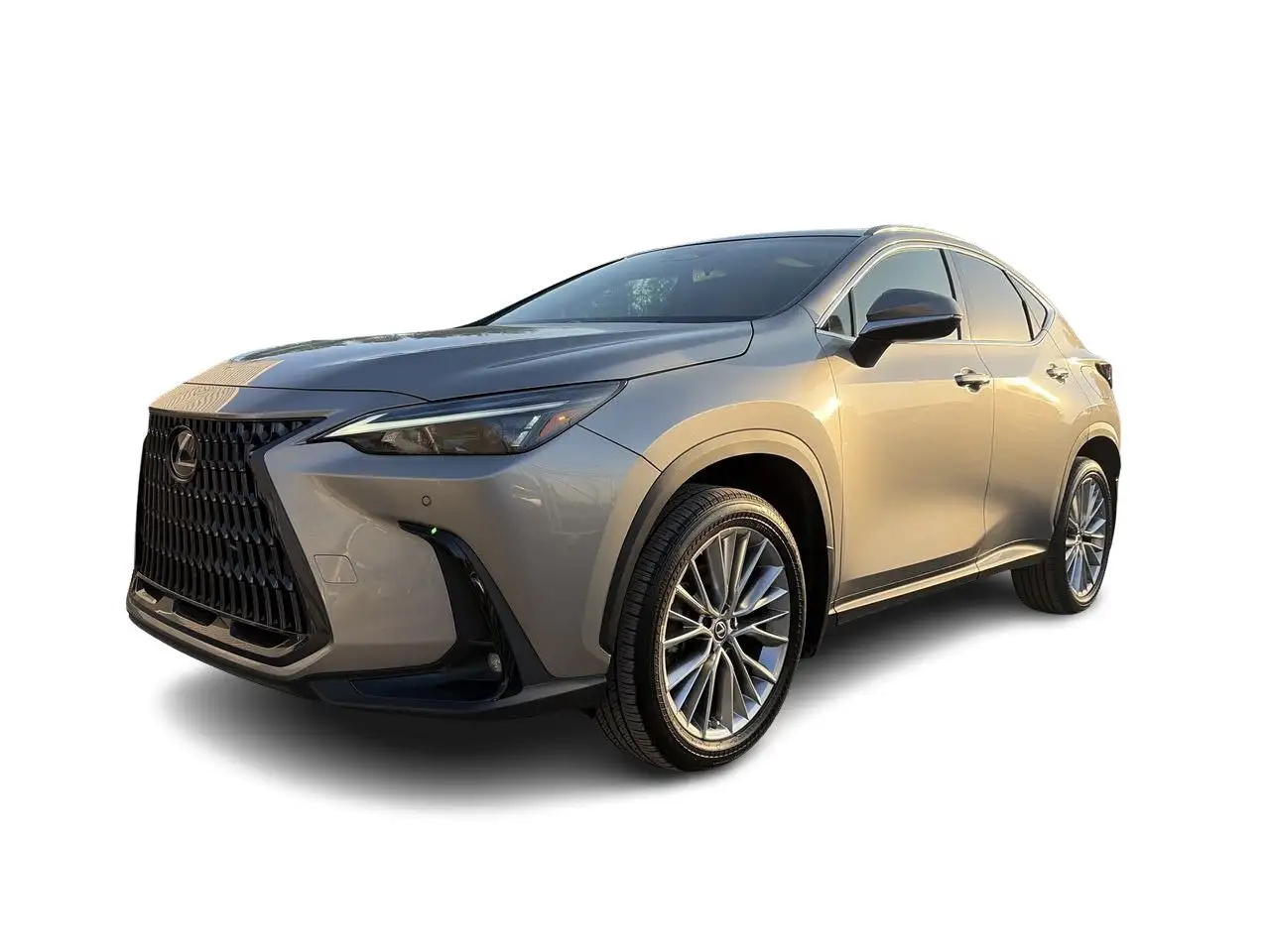Lexus NX снимка Lexus NX