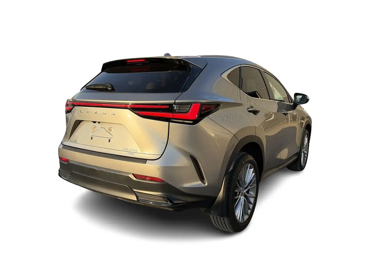 Lexus NX снимка Lexus NX