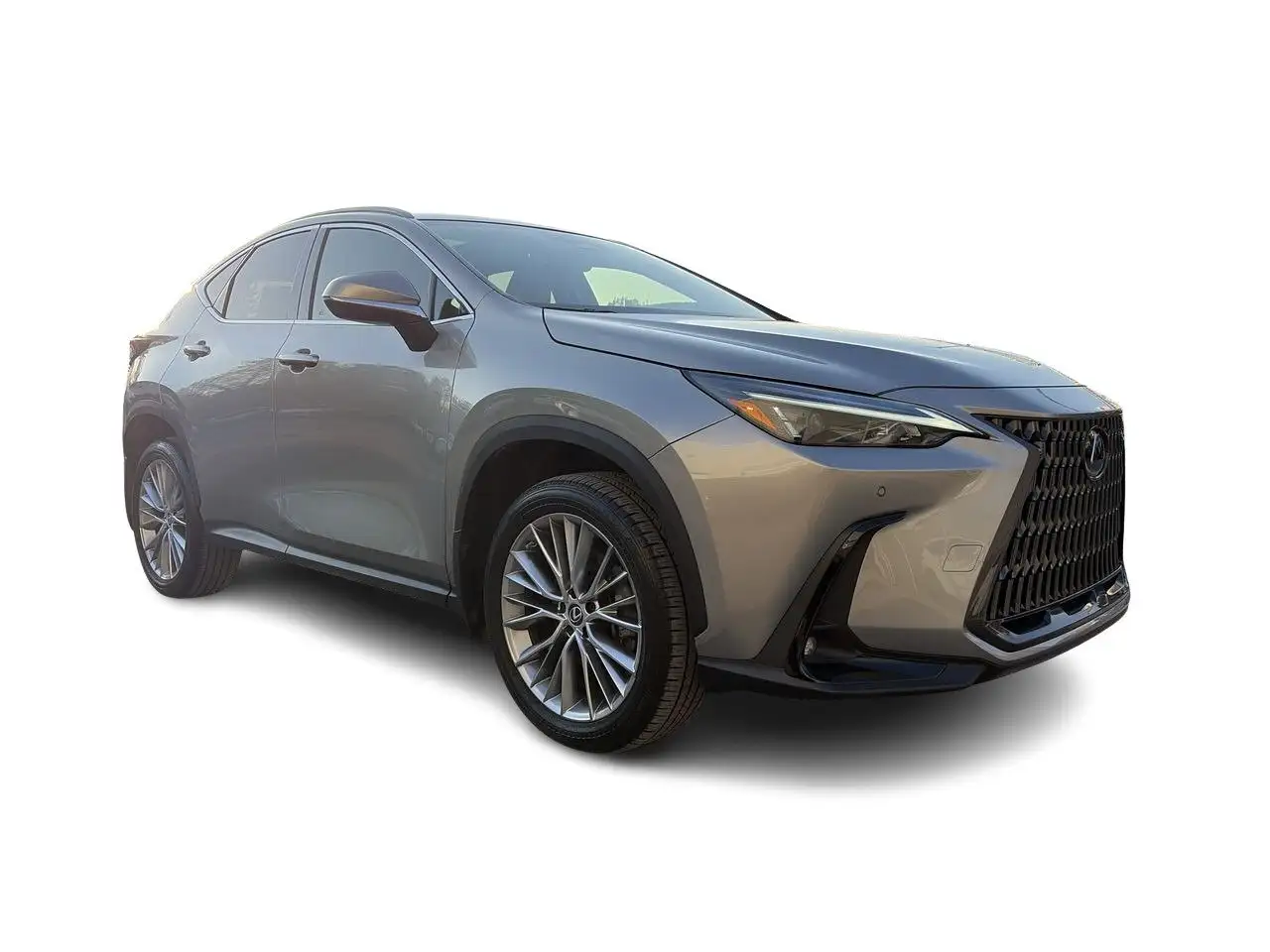 Lexus NX снимка Lexus NX