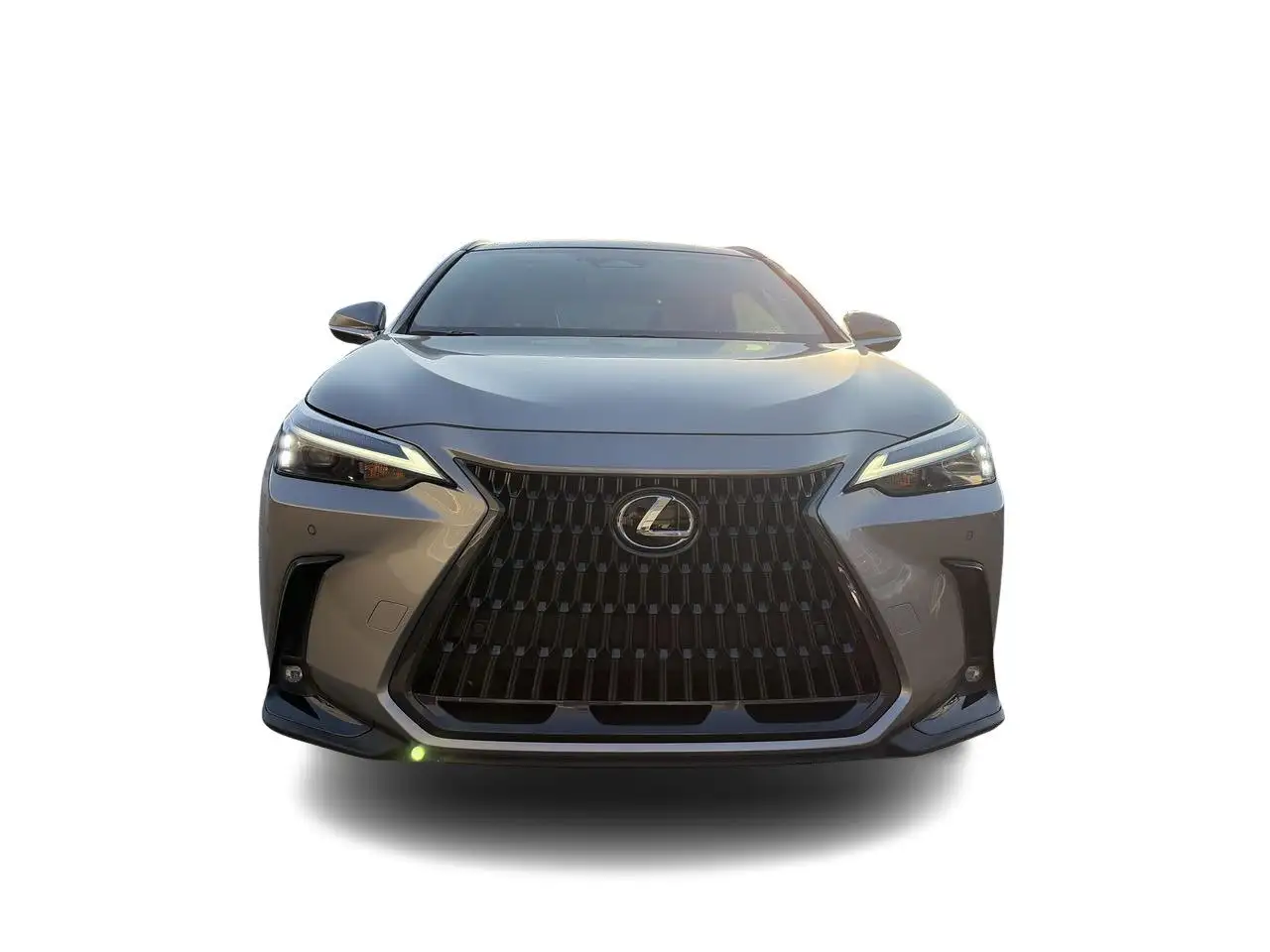 Lexus NX снимка Lexus NX