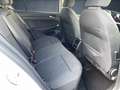 Volkswagen Golf VIII Life 1.5 TSI Navi+LED+FLA+RearView Blanc - thumbnail 21