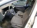 Volkswagen Golf VIII Life 1.5 TSI Navi+LED+FLA+RearView Weiß - thumbnail 6
