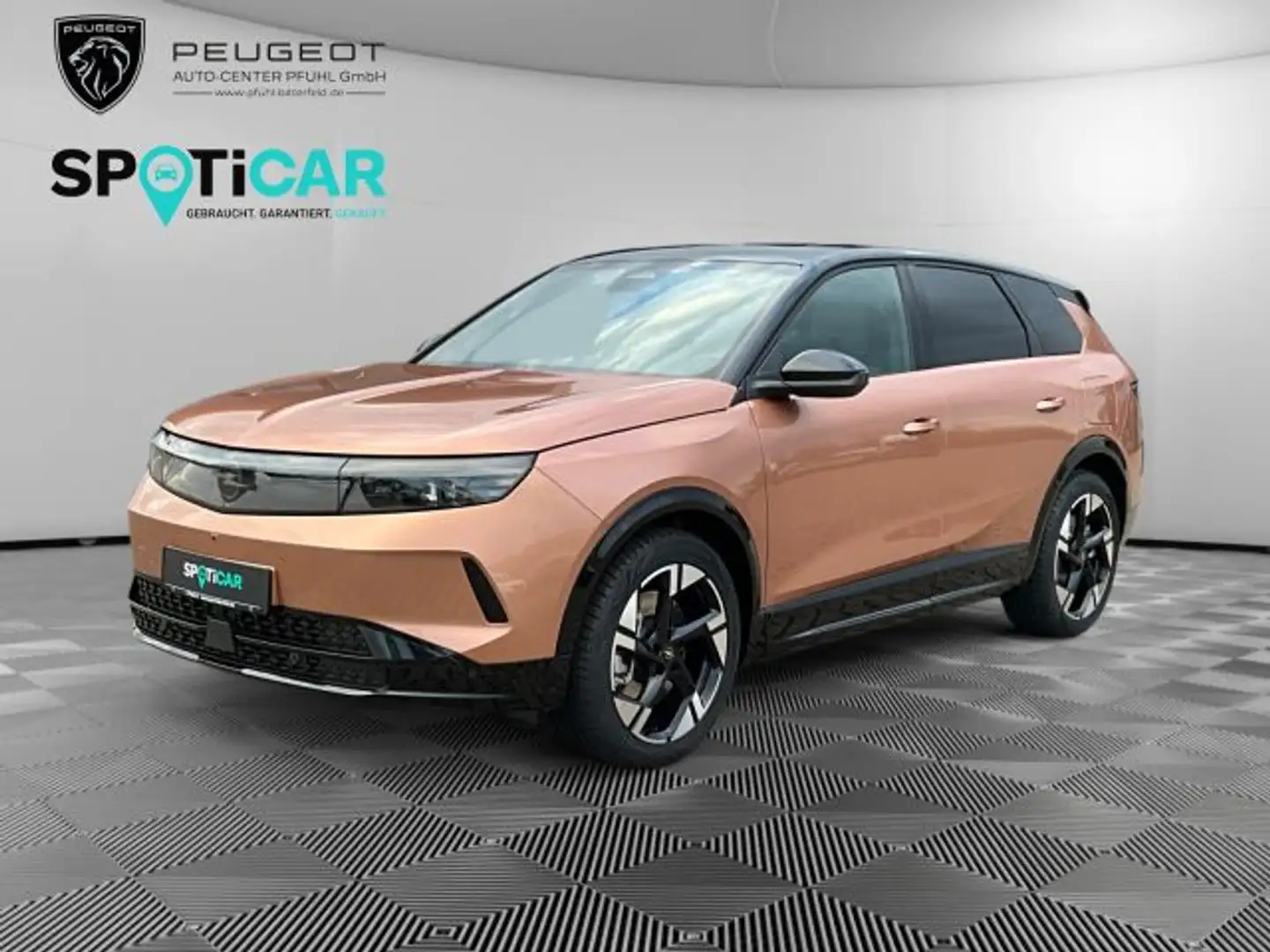 Opel Grandland Electric 73kWh GS Bronze - 1