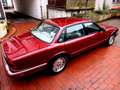 Jaguar XJ6 XJ Limousine SPORT** rare Version*2.Hand 1996 Rojo - thumbnail 15