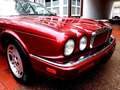 Jaguar XJ6 XJ Limousine SPORT** rare Version*2.Hand 1996 Rojo - thumbnail 3