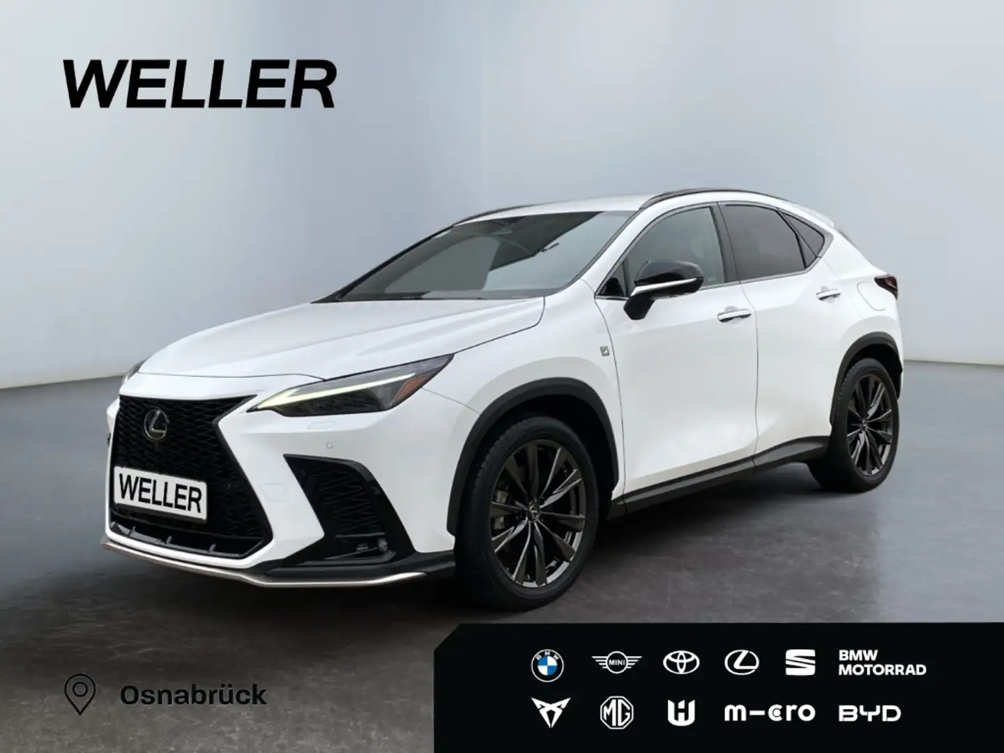 Lexus Sonstige E-FOUR F SPORT-Paket *20''*HUD*360°*Leder* Weiß - 1