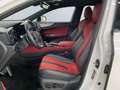Lexus Sonstige E-FOUR F SPORT-Paket *20''*HUD*360°*Leder* Weiß - thumbnail 9