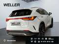 Lexus Sonstige E-FOUR F SPORT-Paket *20''*HUD*360°*Leder* Weiß - thumbnail 19