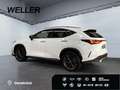 Lexus Sonstige E-FOUR F SPORT-Paket *20''*HUD*360°*Leder* Weiß - thumbnail 7