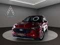 Ford Kuga 1.5 Titanium *KAMERA*NAVI*WENIG-KM*GARANTIE Rot - thumbnail 1