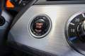 BMW Z4 Roadster sDrive 30i/Gewindefahrwerk/Navi/PDC Grau - thumbnail 31