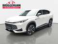 MG HS HS 1.5 PLUG-IN-HYBRID LUXURY LEDER 360-GRAD-KAMERA Alb - thumbnail 1