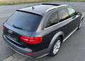 Audi A4 allroad quattro 2.0 TDI PANO AHK Sitzheizg. Grigio - thumbnail 7