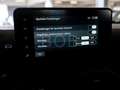 Dacia Sandero Stepway Extreme 110 SHZ+Klima+Kamera Grau - thumbnail 13