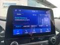 Ford Puma ST-Line Mild Hybrid Navi Digitales Cockpit LED SHZ Schwarz - thumbnail 30