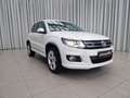 Volkswagen Tiguan Leder Weiß - thumbnail 3