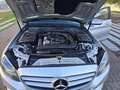 Mercedes-Benz C 200 Estate 200CDI BE Edition Gris - thumbnail 16