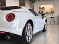 Alfa Romeo 4C 4C 1750 Tbi 240 ch TCT Standard Edition Weiß - thumbnail 27