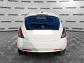 Lancia Ypsilon Ypsilon 1.2 69 CV 5 porte GPL Ecochic Gold Blanco - thumbnail 4