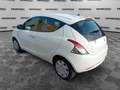 Lancia Ypsilon Ypsilon 1.2 69 CV 5 porte GPL Ecochic Gold Blanco - thumbnail 3