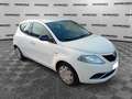 Lancia Ypsilon Ypsilon 1.2 69 CV 5 porte GPL Ecochic Gold Blanco - thumbnail 8