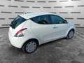 Lancia Ypsilon Ypsilon 1.2 69 CV 5 porte GPL Ecochic Gold Blanco - thumbnail 6