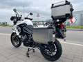 Triumph Tiger 800 **XRX LOW**GRIFFHEIZUNG**KOFFER/TOPCASE**TEMPOMAT Blanco - thumbnail 6
