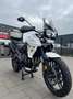 Triumph Tiger 800 **XRX LOW**GRIFFHEIZUNG**KOFFER/TOPCASE**TEMPOMAT Blanco - thumbnail 10