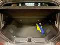 Ford Fiesta 5p 1.0 ecoboost ST-Line s&s 95cv my20.25 Gris - thumbnail 16