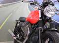 Moto Guzzi V 7 Stone - 2014 -  km 3642 Красный - thumbnail 10