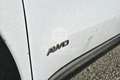 Kia Sportage Sportage 2.0 CRDI 185 CV AWD GT Line Bianco - thumbnail 15