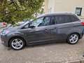Ford Grand C-Max Grand C-Max 1.0 EcoBoostTitanium Grau - thumbnail 1