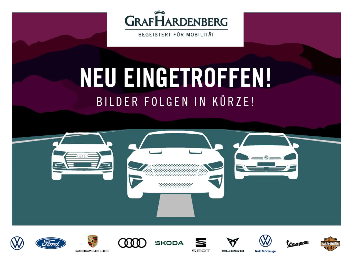 Volkswagen T-Roc 1.5 TSI DSG Style ACC RFK NAVI LED Gris - 1