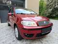Fiat Punto 1,2 *Pickerl 01/27+4 Mo*Service neu* Rot - thumbnail 3