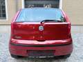 Fiat Punto 1,2 *Pickerl 01/27+4 Mo*Service neu* Rot - thumbnail 8
