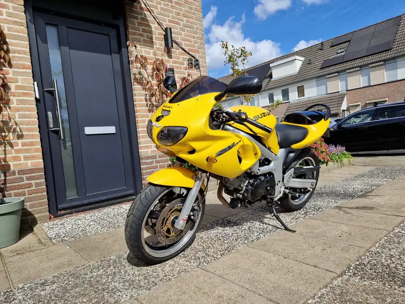 Suzuki SV 650 - foto 5
