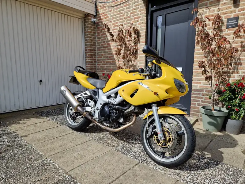 Suzuki SV 650 - foto 2