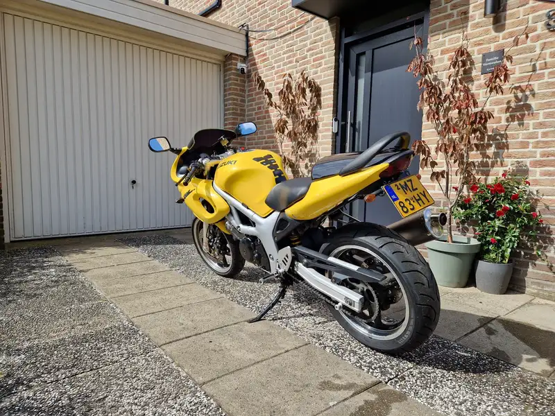 Suzuki SV 650 - foto 4