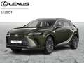 Lexus RX 450h Executive Line+navi+cam+sensor Vert - thumbnail 1