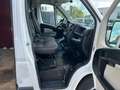 Peugeot Boxer 2.0 hdi lengte 3 hoogte 2 zie foto's gebruikte bus Wit - thumbnail 18