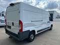 Peugeot Boxer 2.0 hdi lengte 3 hoogte 2 zie foto's gebruikte bus Blanc - thumbnail 3