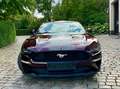 Ford Mustang Mustang 2.3 EcoBoost  ### 48000 km ### Paars - thumbnail 2