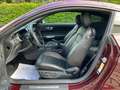 Ford Mustang Mustang 2.3 EcoBoost  ### 48000 km ### Paars - thumbnail 10