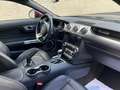 Ford Mustang Mustang 2.3 EcoBoost  ### 48000 km ### Paars - thumbnail 13