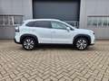 Suzuki S-Cross Comfort+ 110PS MHEV 4x4 ALLGRIP 1.4 Boosterjet ... Weiß - thumbnail 6